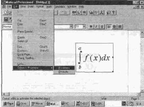 Редактирование внедренных объектов (Object)